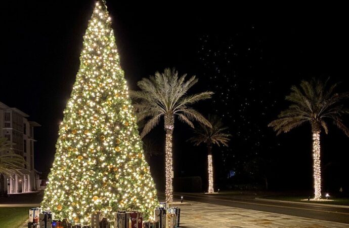 Christmas lighting Services-Hardscape Contractors of Jupiter