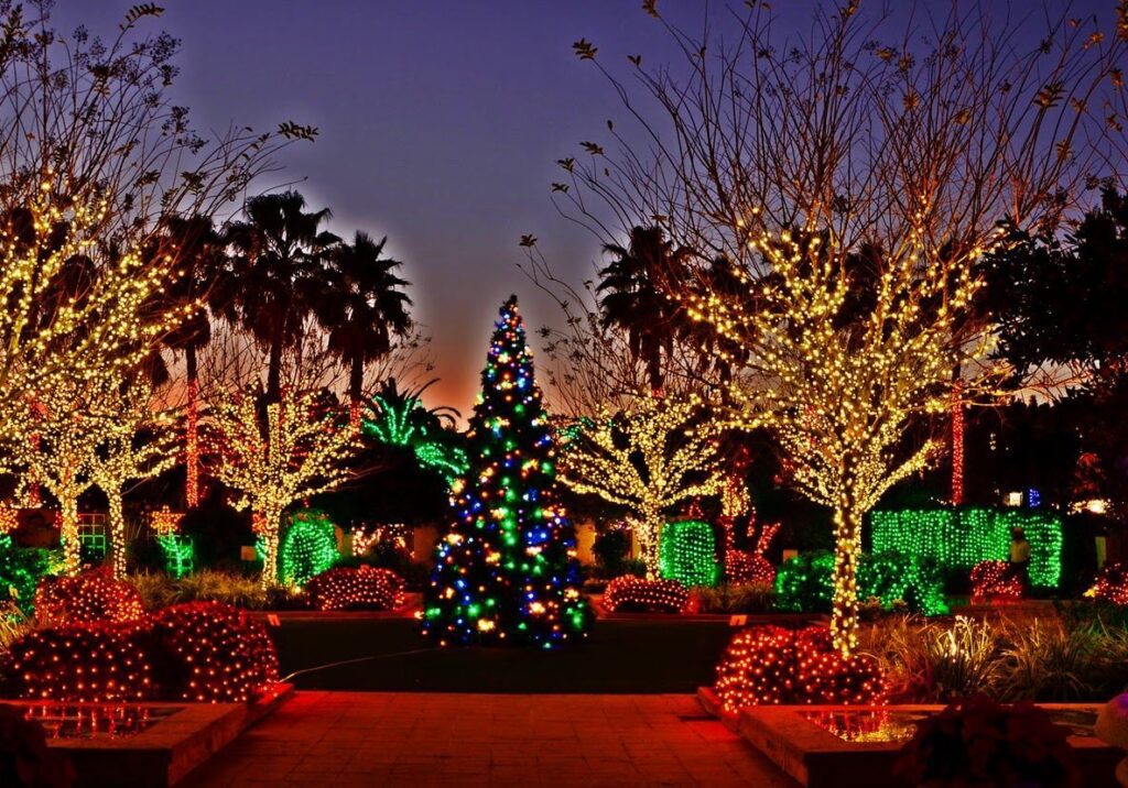 Holiday lighting Services-Hardscape Contractors of Jupiter