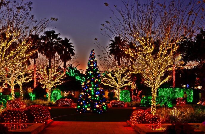 Holiday lighting Services-Hardscape Contractors of Jupiter